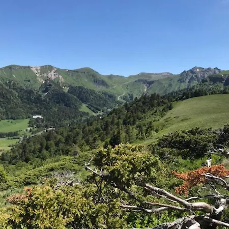 Dore - T3 Proche Centre, 5 Pers - Fr-1-608-180 Appartamento Le Mont-Dore